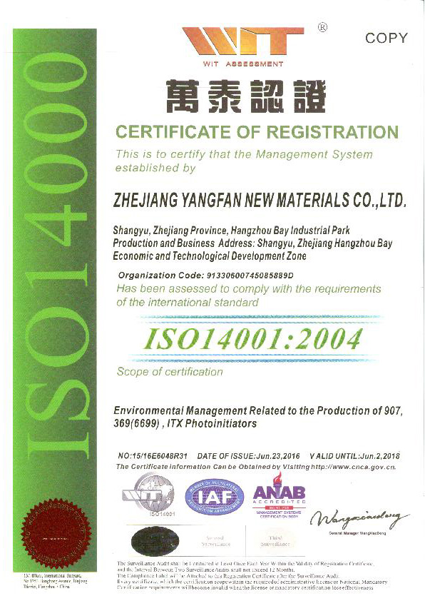ISO14001:2004英(副本)